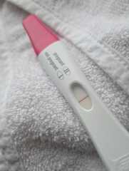 Evap lines or pregnant