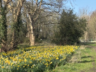 Thread 19 - TalkLair: "The light that burns twice as bright burns half as long"