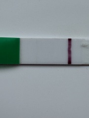Is this a pregnancy test indent or early positive at 10-11 DPO?