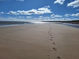 Year round Nigel Slater discussion thread - Part 3