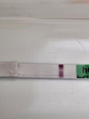 Faint line on pregnancy test: positive result or evaporation line?