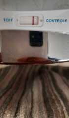 Very faint pink line 14dpo is it ok?