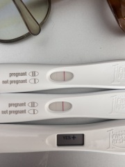 One test is negative one is positive