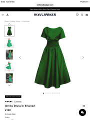 Help! Need a dress for a family party