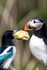 The Bluestocking - Best Pub on the Internet