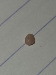 I'm proud to announce my first sporners worthy post with photos