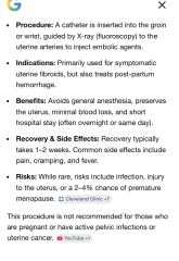 Large fibroid… what now?