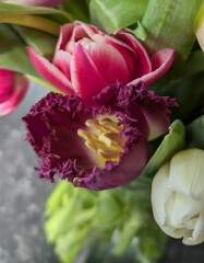 Year round Nigel Slater discussion thread - Part 3