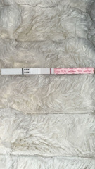 Early pregnancy test with faint lines, can anyone else see them?