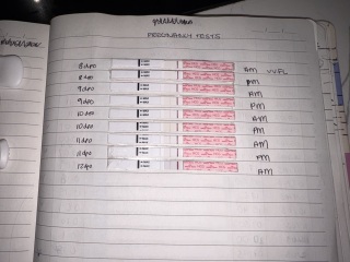 12dpo line progression seems slow after chemical pregnancy, looking for reassurance
