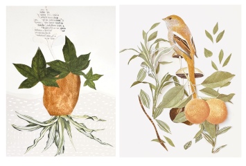 In which area (visual art) do I have more skill?