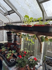 Year round Nigel Slater discussion thread - Part 3