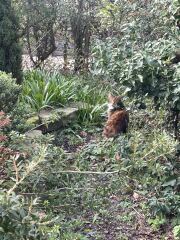 Year round Nigel Slater discussion thread - Part 3