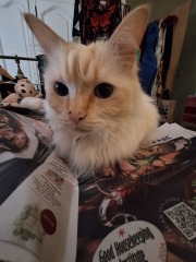 Year round Nigel Slater discussion thread - Part 3