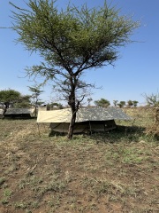 Safari next October - where do I start?