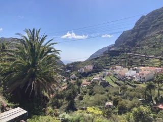 The Great Cancer Recovery part 5