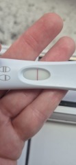10dpo and think I can see a faint line, opinions?