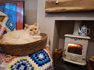 Year round Nigel Slater discussion thread - Part 3