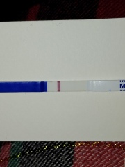 11dpo line eyes. to late to be successful?