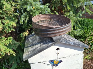 Year round Nigel Slater discussion thread - Part 3