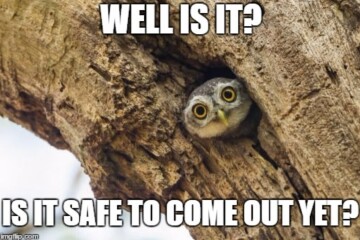 Thread 26 : To feel disappointed - and disgusted and vindicated now too - after reading this in The Observer about the author and her husband from The Salt Path book and film?