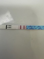 LH peak - darker or not