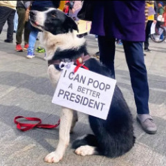 Bored of Peace? Let's Mambo! - Trump Thread #158