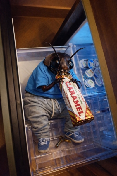 The Bluestocking: To the moon and back gerbil style.