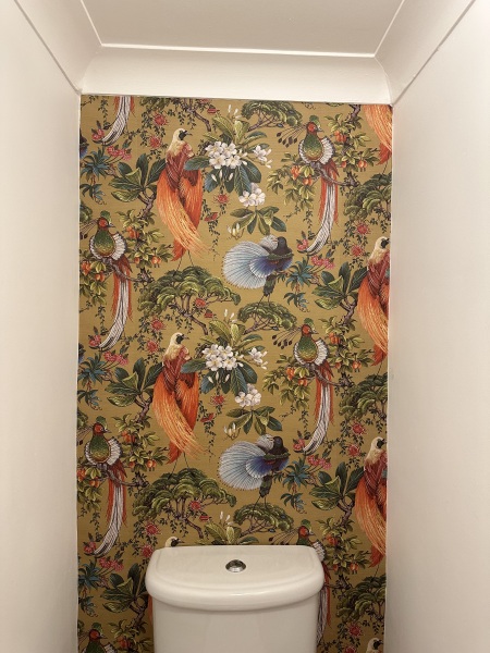 To ask to see your downstairs toilet wallpaper?