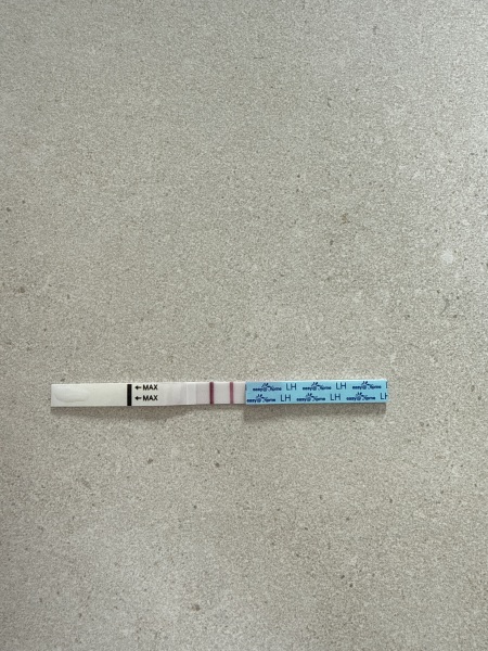 Ovulation test after miscarriage: is it safe to try again?