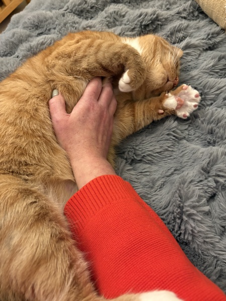 You get on a bus but you leave the thing on your right on the bus when you get off , what do you leave?