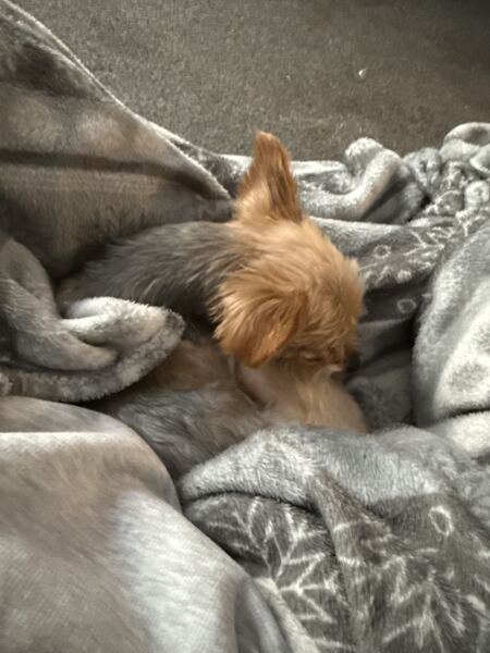 What are you up to today if you have a chronic illness?  Thread 7