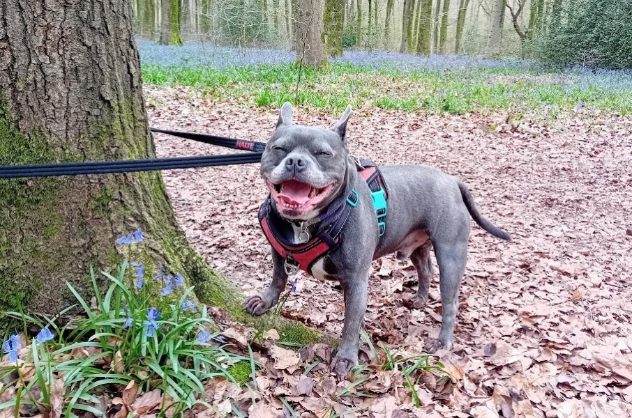 The Continuing Support Thread for Anyone Trying to Lead an Alcohol-Free Life Spring into Summer 2026