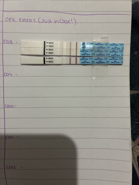 TTC March/April 2026