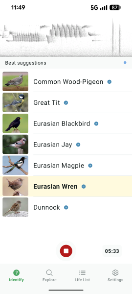 The Bluestocking: To the moon and back gerbil style.