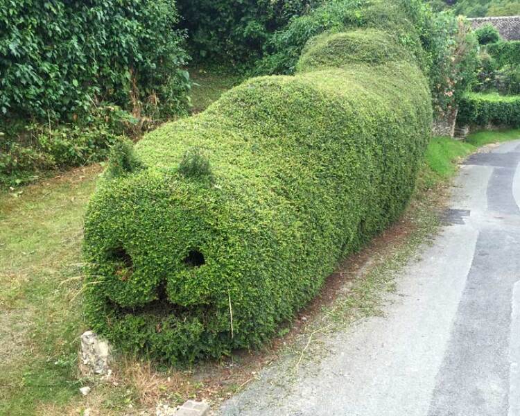 Please help me find my perfect hedge.