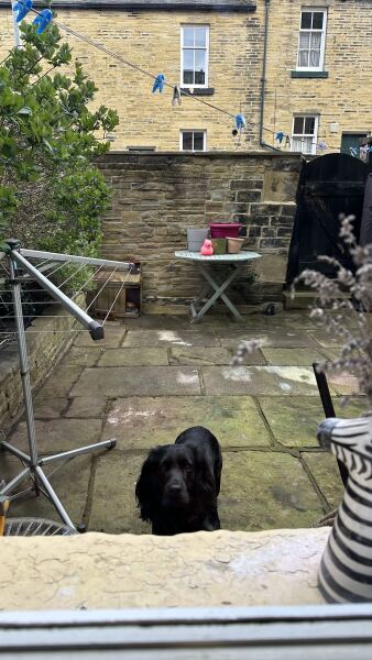 Beyond Adolescence and General Chit Chat - part 3