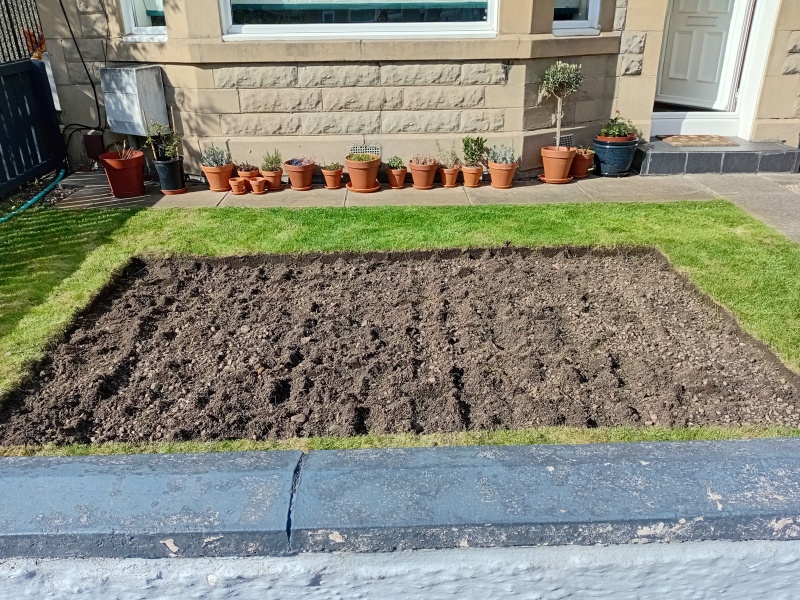 Designing a flowerbed (shrubs) for front garden (no dig)