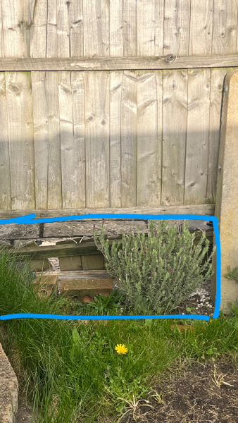 Neighbour and fence?