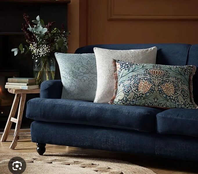 URGENT How to get pee out of this cushion?