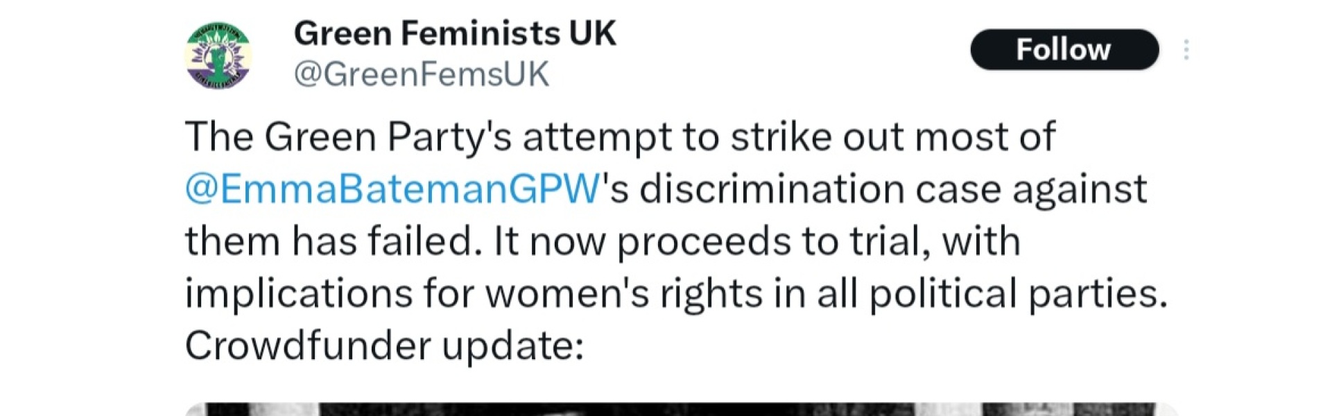 Green Party in trans legal row over ‘fairy’ pronouns