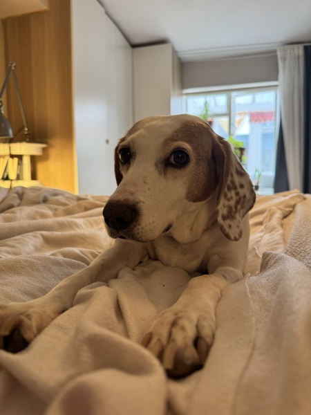 The Continuing Support Thread for Anyone Trying to Lead an Alcohol-Free Life Spring into Summer 2026