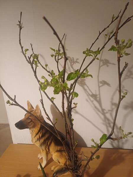 Just Supporting (Continued)