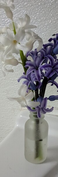 Best products by The ordinary