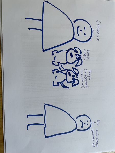 AIBU to think my colleague is lying about having two dogs?