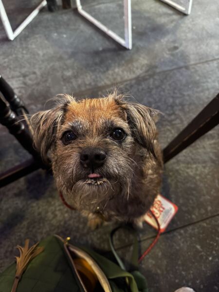 Thread #7, living with incurable cancer. Taking ALL the drugs and remembering our lovely friends