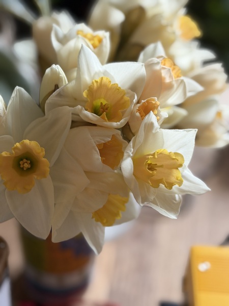 Good morning Mumsnet! What's everyone doing today?