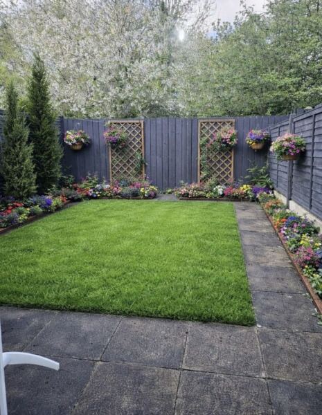 Design ideas for small garden on a 1k budget (pic attached)