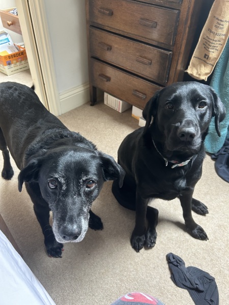 Do you remember this Mumsnet story…?  Update