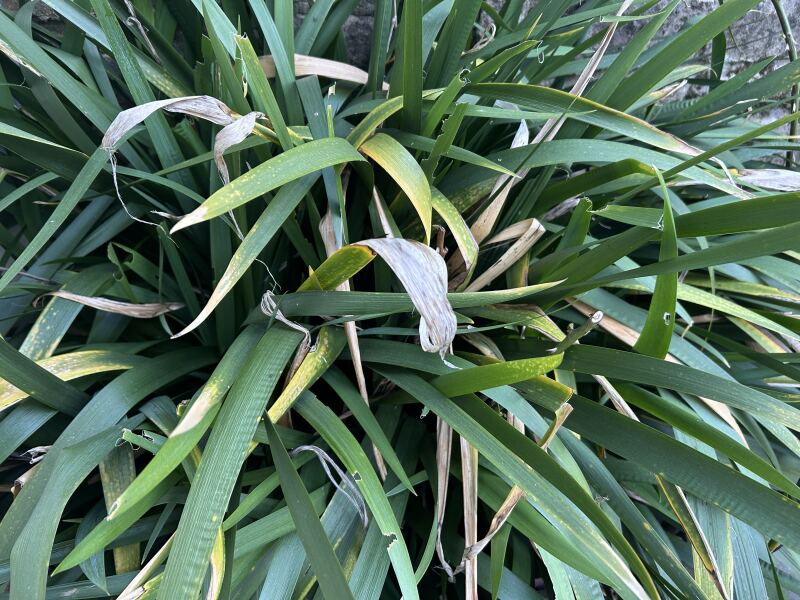 What is this?